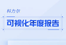 可視化年度報告