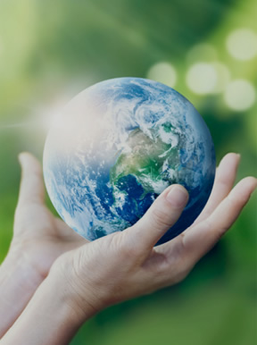 社會(huì )責任政策聲明