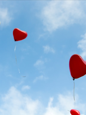 社會(huì )貢獻活動(dòng)